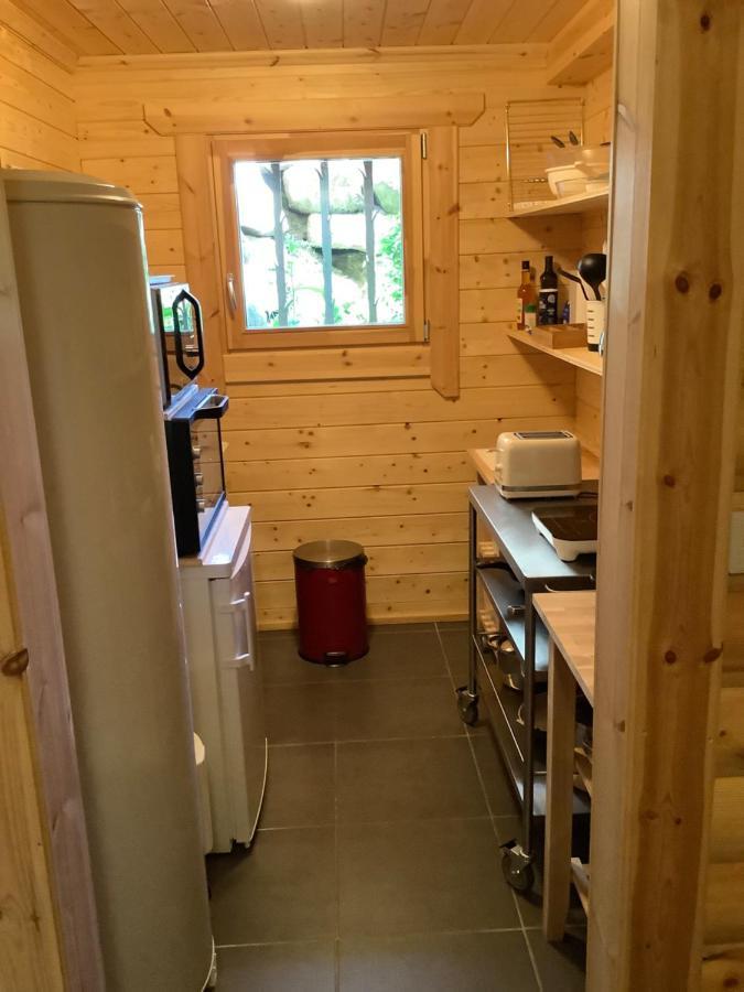 Chalet Les Sorbiers Egat Eksteriør billede